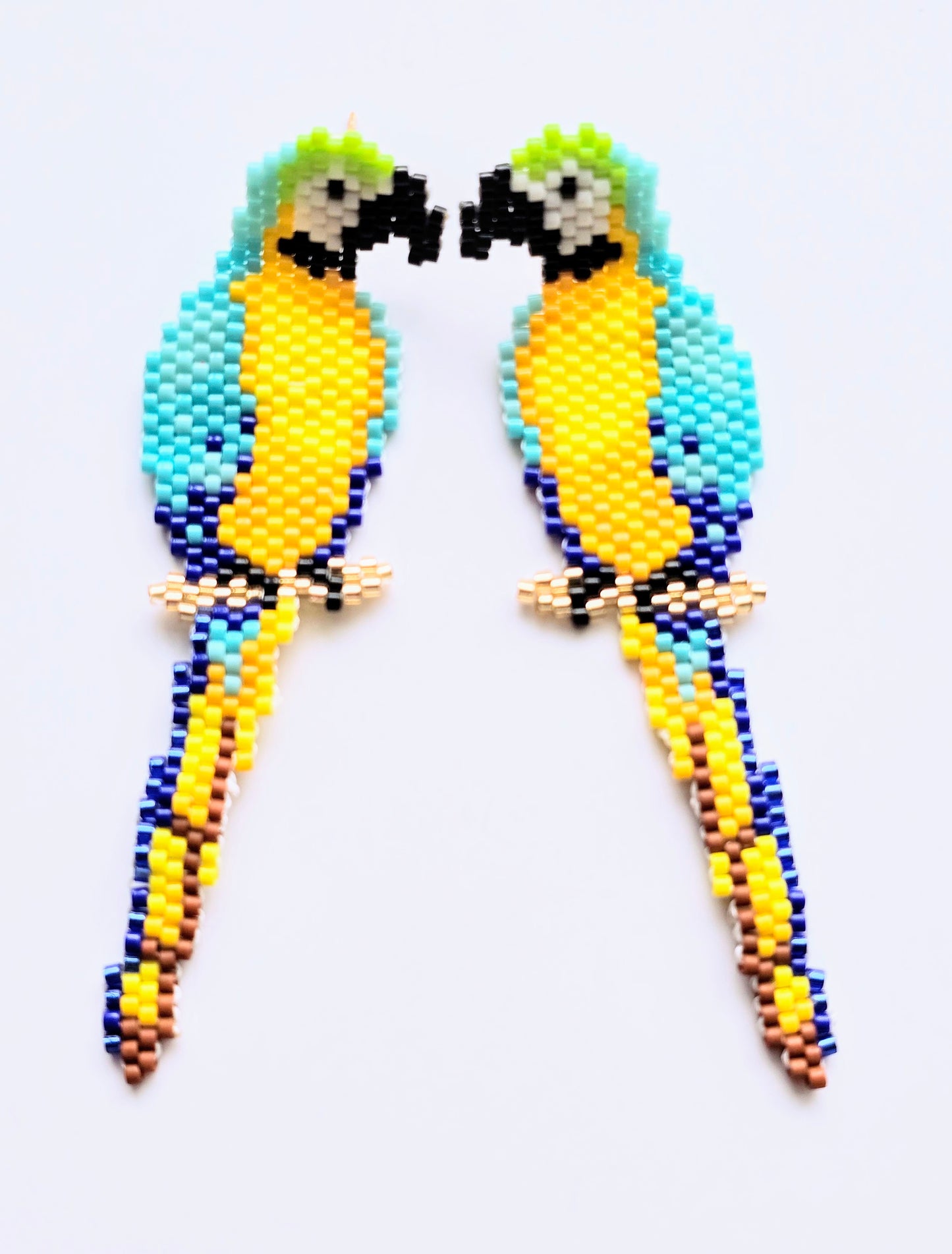 PARROTS MIYUKI
