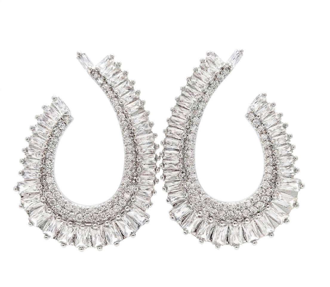 ROYAL RADIANCE SILVER EARRINGS